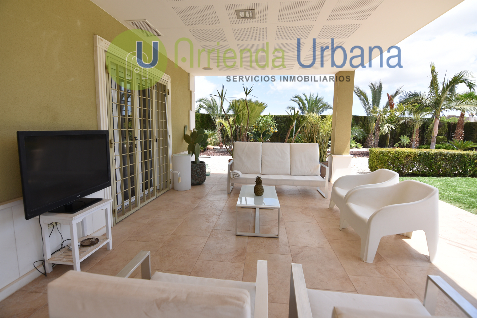 Casas o chalets-Alquiler-Elche-1722736-Foto-41