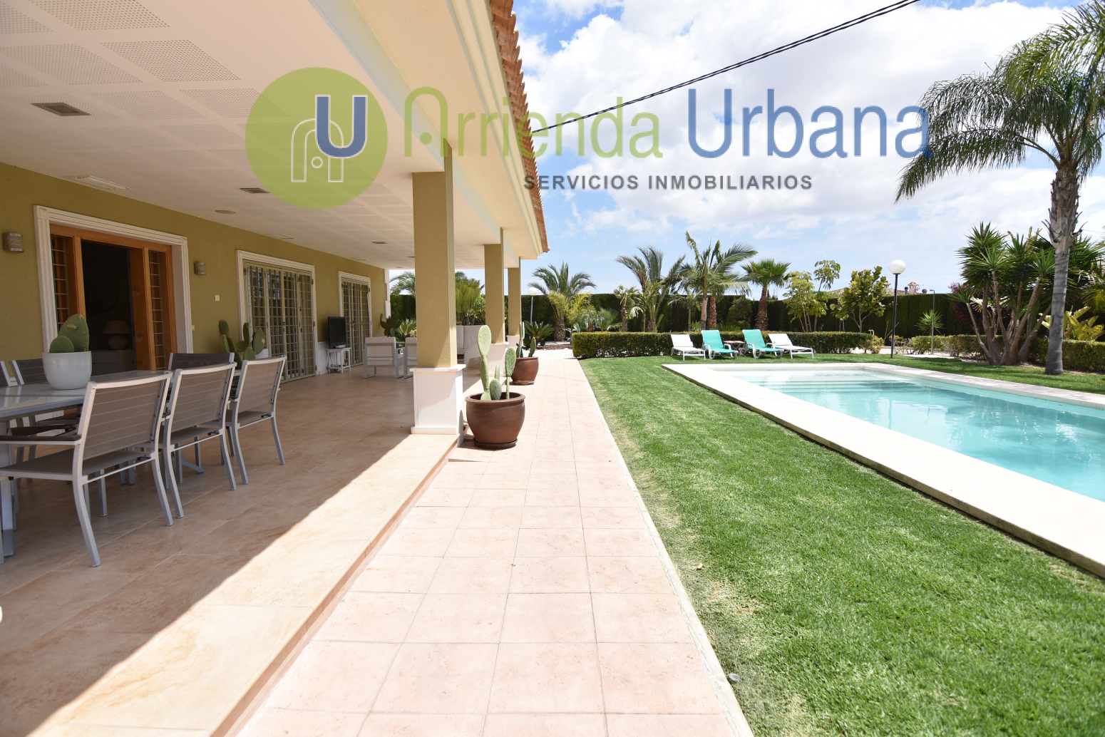 Casas o chalets-Alquiler-Elche-1722736-Foto-42