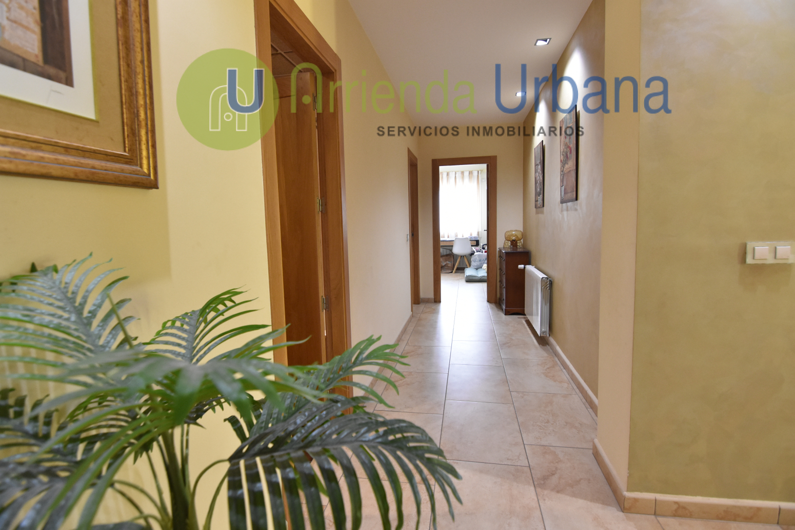 Casas o chalets-Alquiler-Elche-1722736-Foto-15