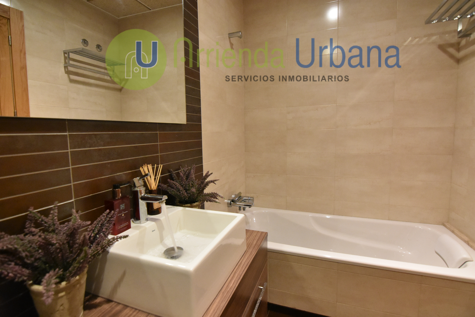 Casas o chalets-Alquiler-Elche-1722736-Foto-22