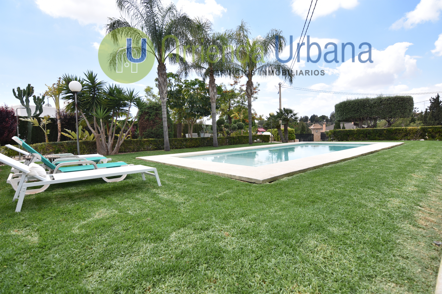 Casas o chalets-Alquiler-Elche-1722736-Foto-2