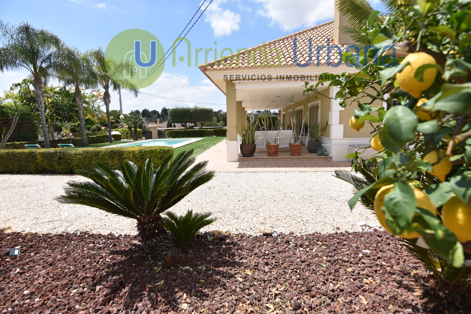 Casas o chalets-Alquiler-Elche-1722736-Foto-54