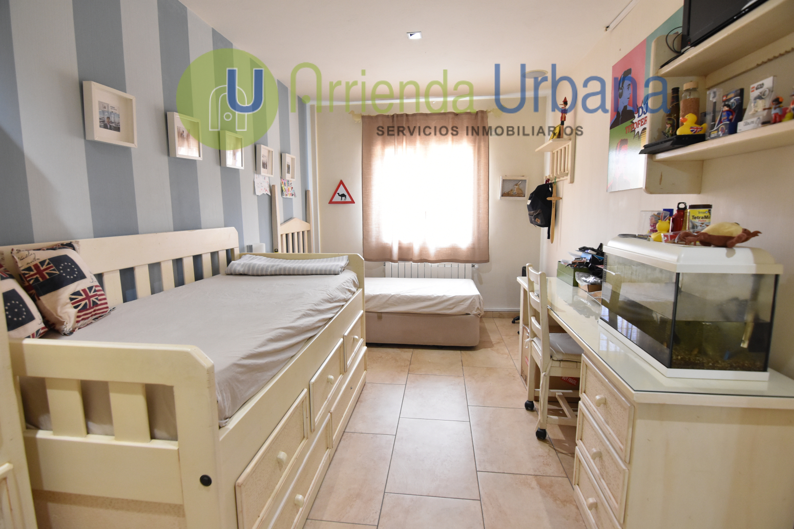 Casas o chalets-Alquiler-Elche-1722736-Foto-17