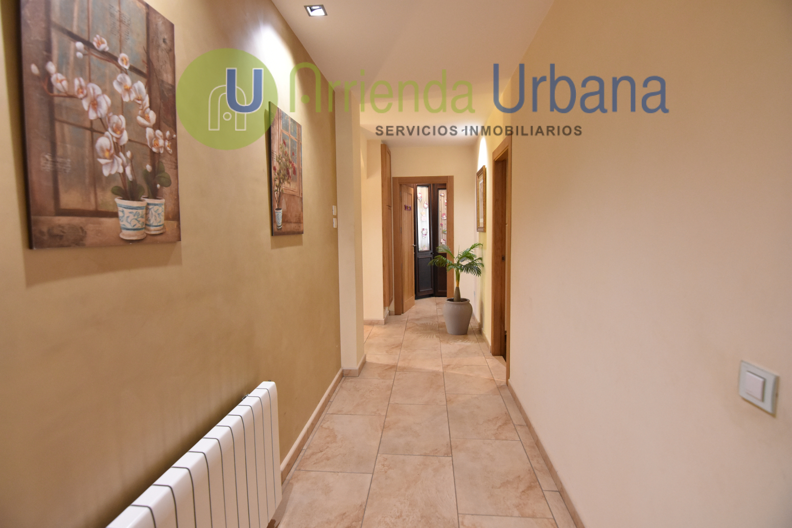 Casas o chalets-Alquiler-Elche-1722736-Foto-21