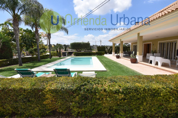 Casas o chalets-Alquiler-Elche-1722736-Foto-50-Carrousel
