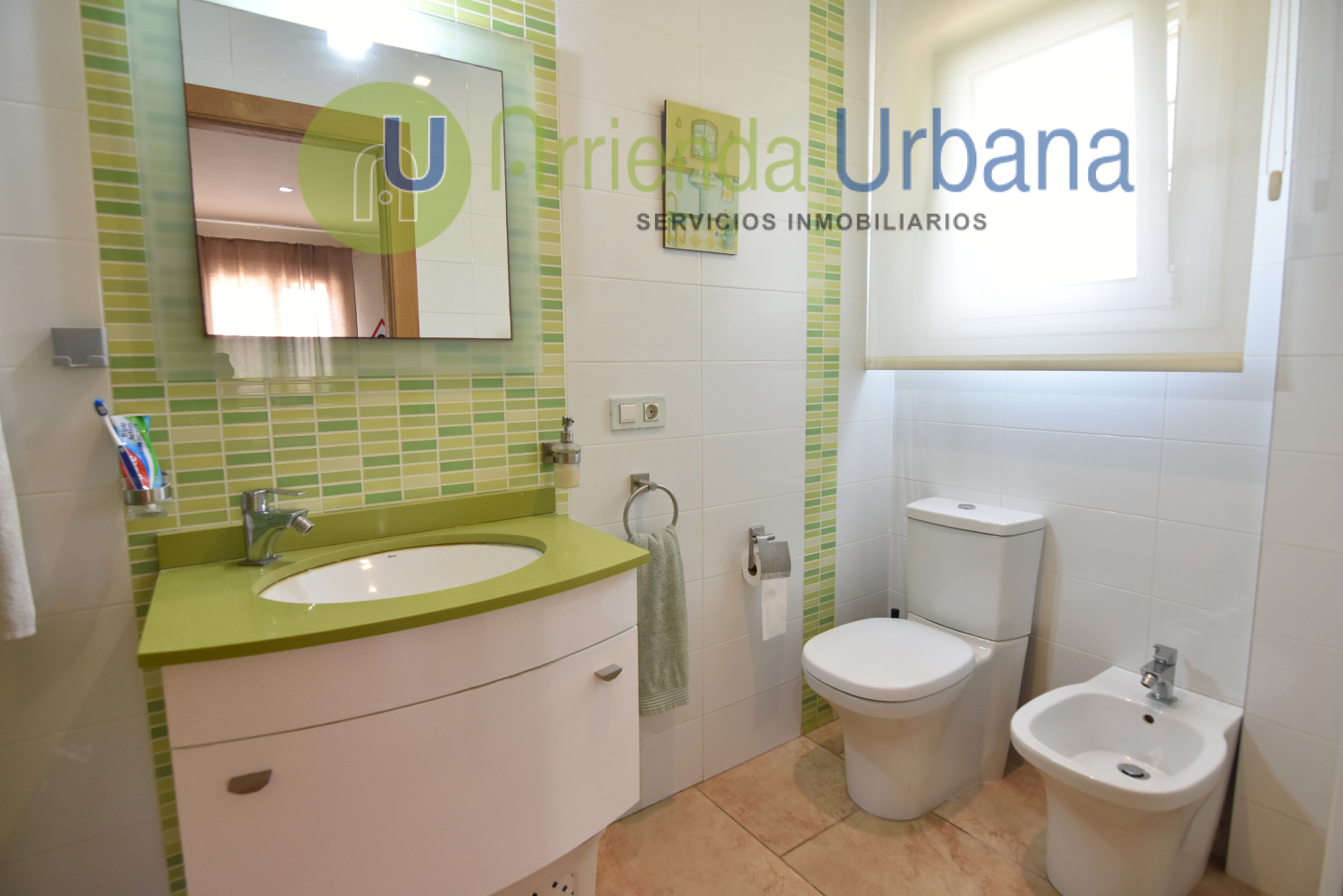 Casas o chalets-Alquiler-Elche-1722736-Foto-19