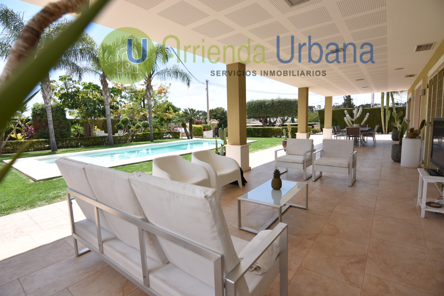 Casas o chalets-Alquiler-Elche-1722736-Foto-57