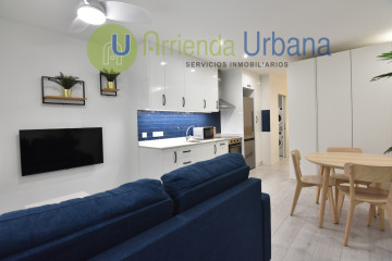 ALQUILER DE LOFT EN EL CENTRO DE ELCHE. leer condiciones antes de llamar.