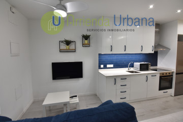 ALQUILER DE LOFT EN EL CENTRO DE ELCHE. leer condiciones antes de llamar.