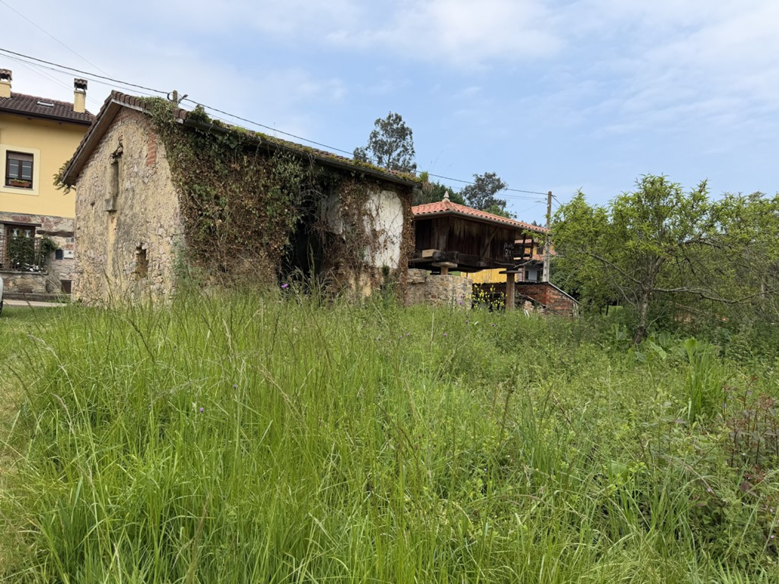 Casas o chalets-Venta-CastrillÃ³n-2300305-Foto-6