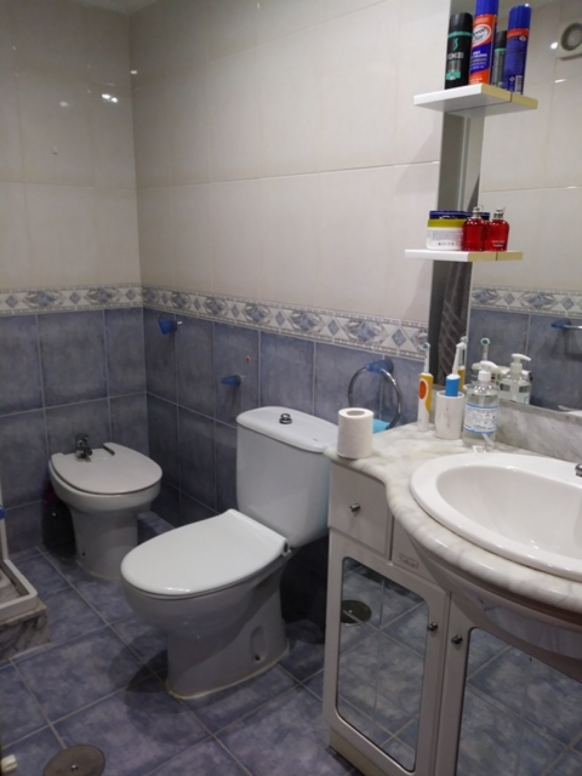 Pisos-Venta-AvilÃ©s-480752-Foto-4