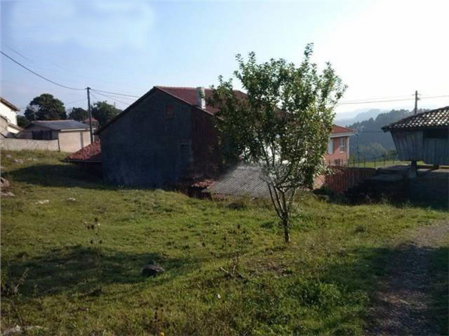 Casas o chalets-Venta--584999-Foto-2