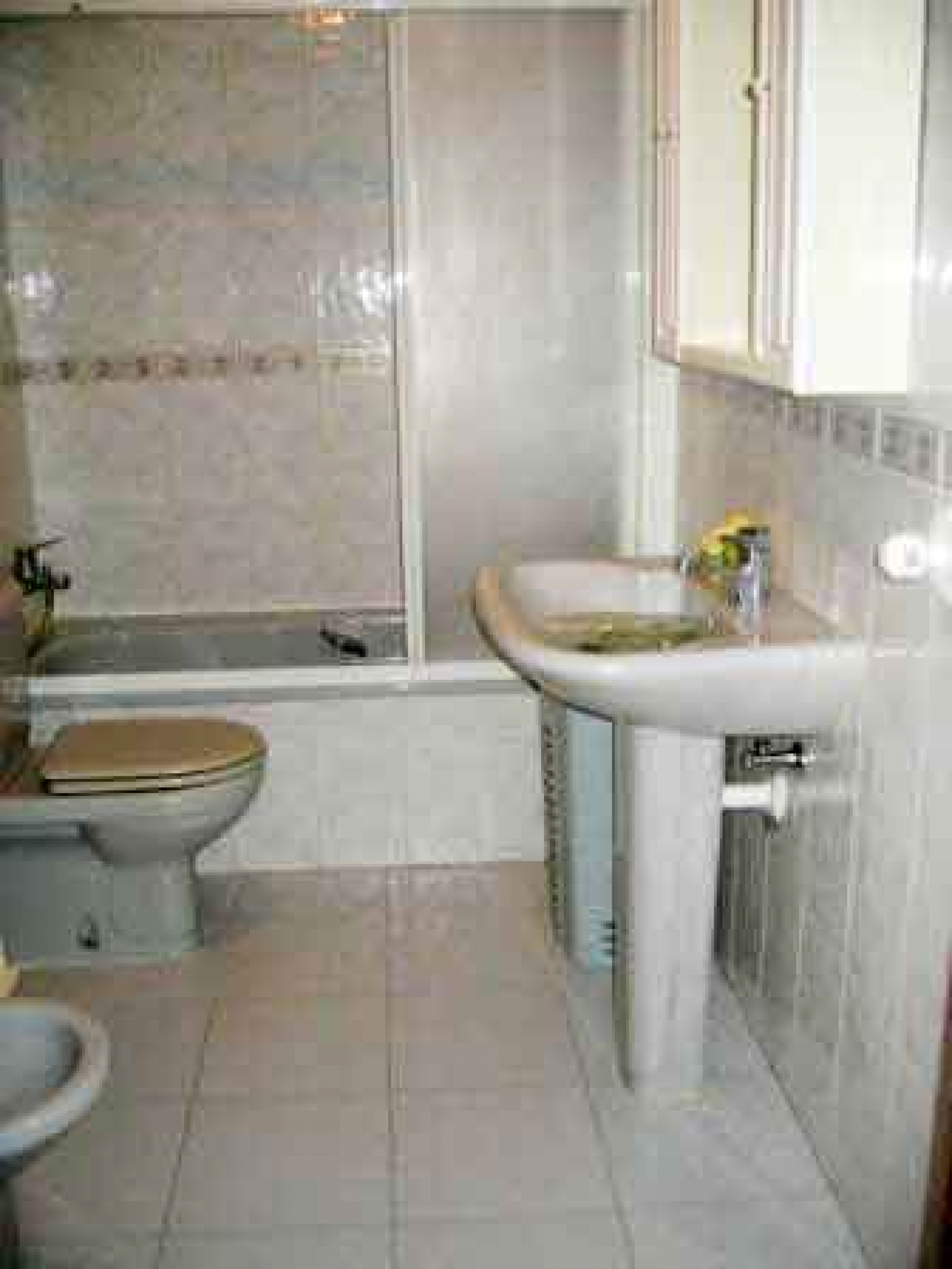 Pisos-Venta-AvilÃ©s-585058-Foto-4