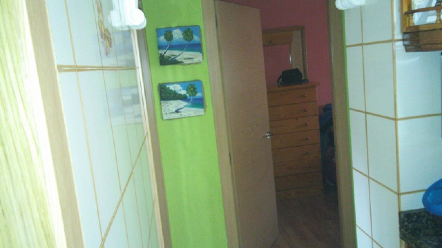 Pisos-Venta-AvilÃ©s-585073-Foto-3