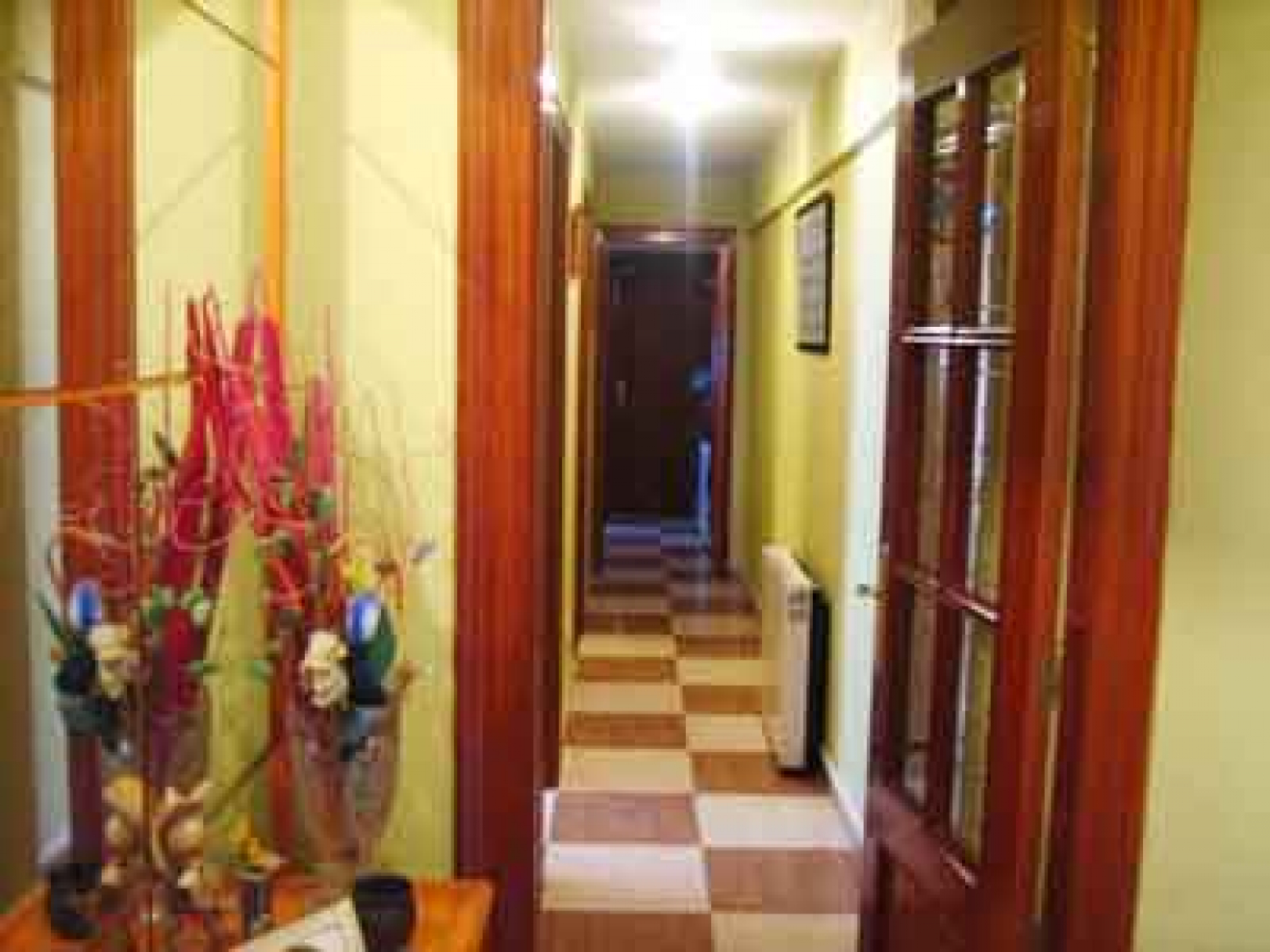 Pisos-Venta-AvilÃ©s-585503-Foto-4
