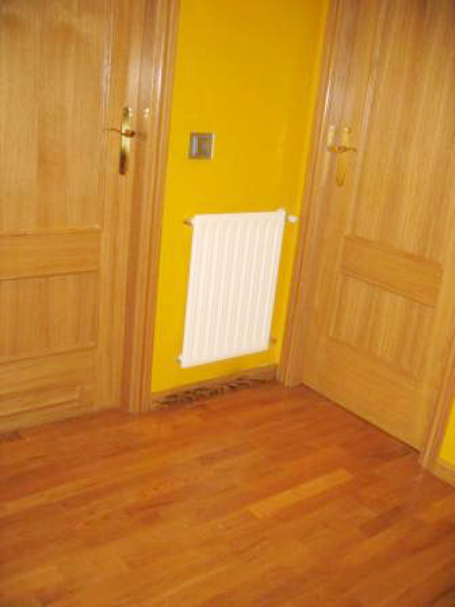Pisos-Venta-AvilÃ©s-585627-Foto-4