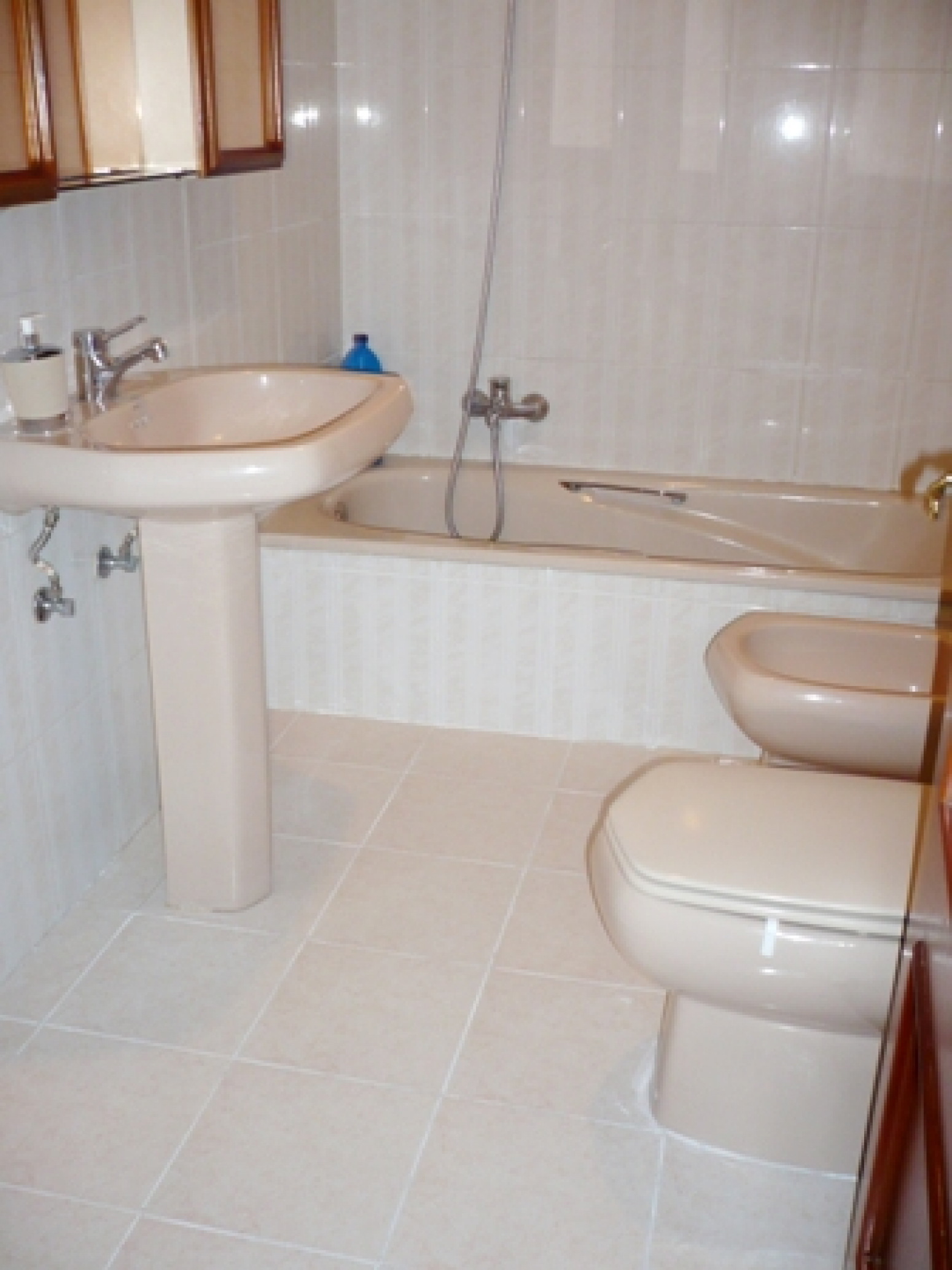 Pisos-Venta-AvilÃ©s-585940-Foto-2