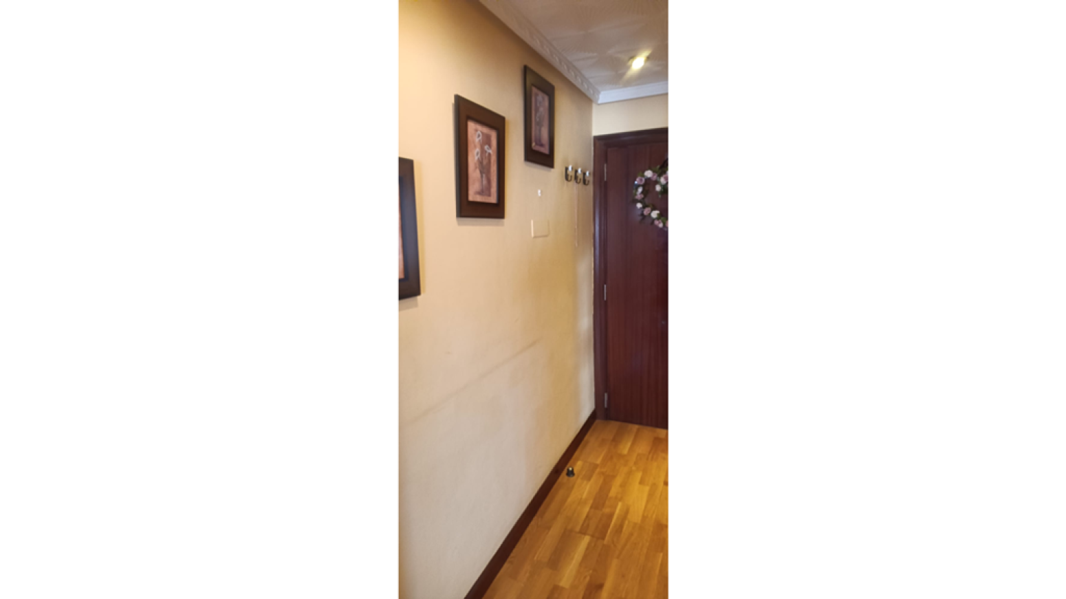 Pisos-Venta-AvilÃ©s-585970-Foto-6