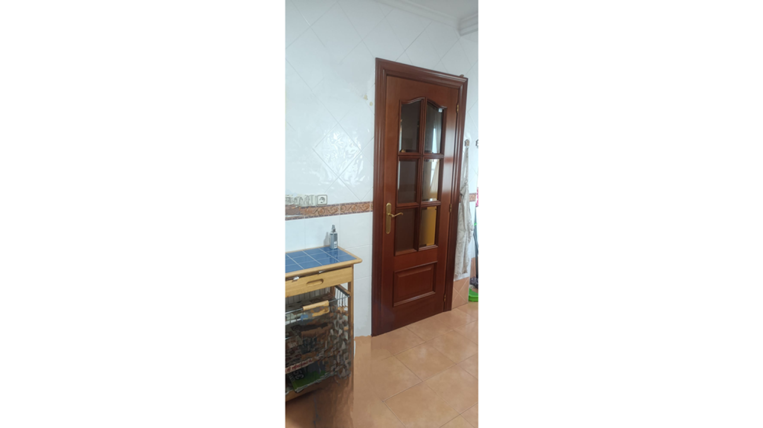 Pisos-Venta-AvilÃ©s-585970-Foto-5