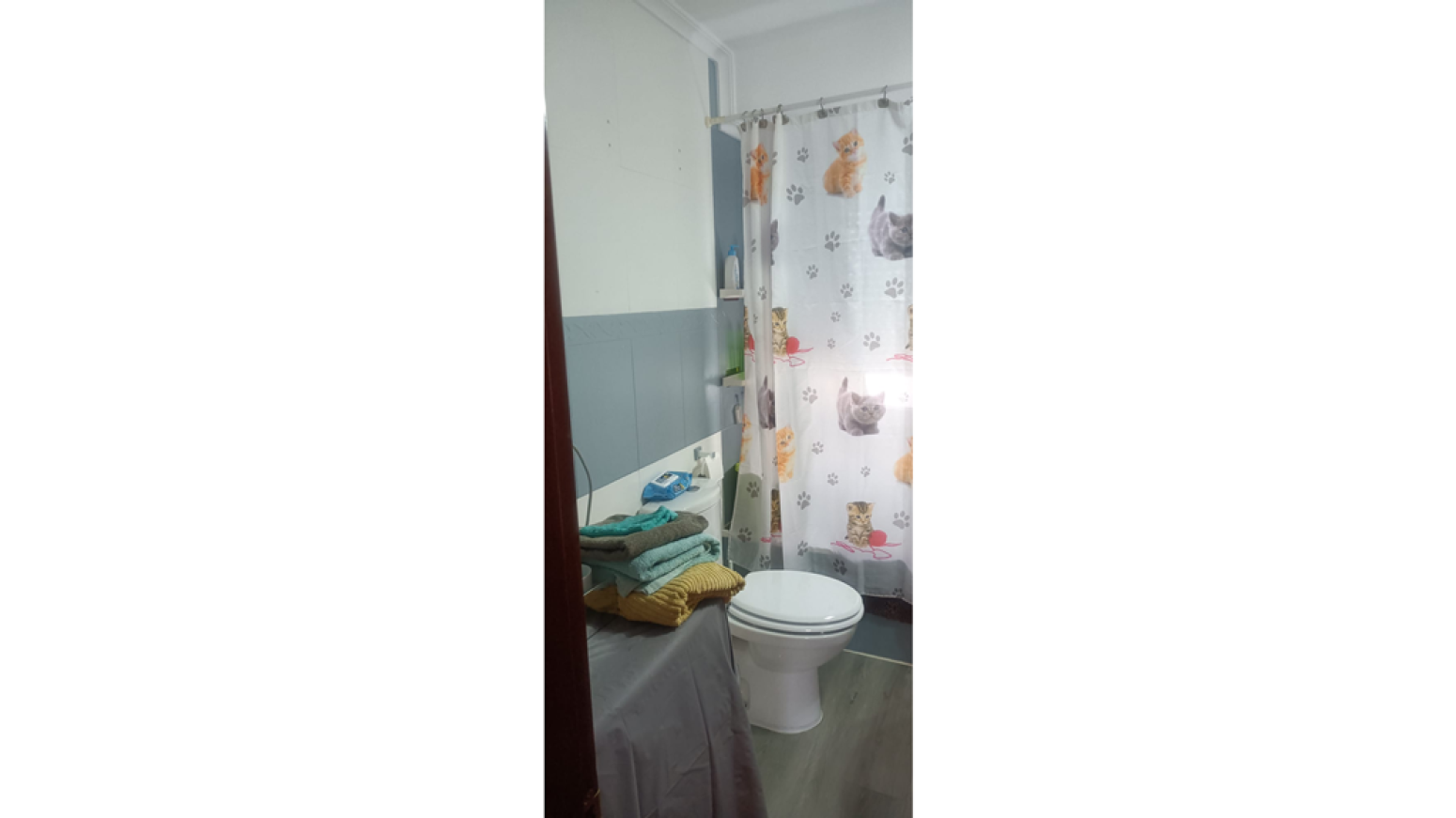 Pisos-Venta-AvilÃ©s-585970-Foto-8