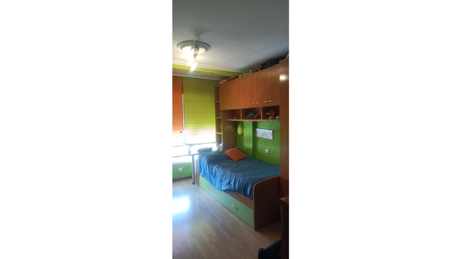 Pisos-Venta-AvilÃ©s-585970-Foto-16