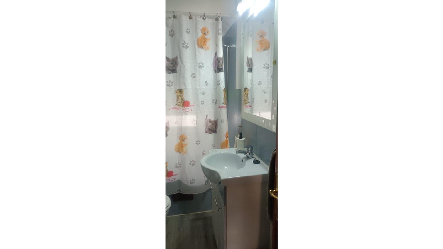 Pisos-Venta-AvilÃ©s-585970-Foto-7