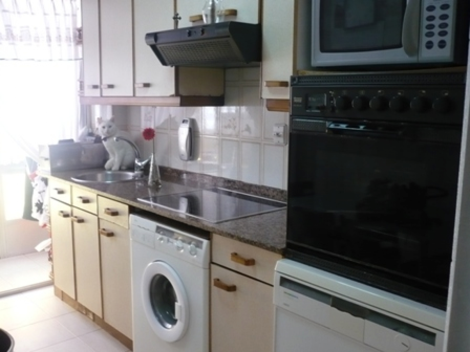 Pisos-Venta-AvilÃ©s-586118-Foto-1