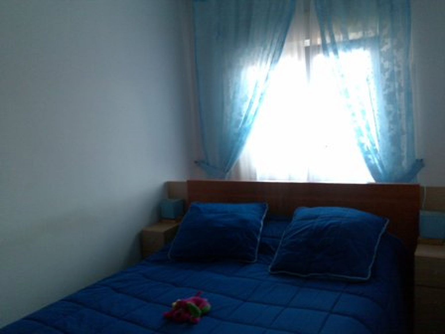 Pisos-Venta-AvilÃ©s-586161-Foto-4