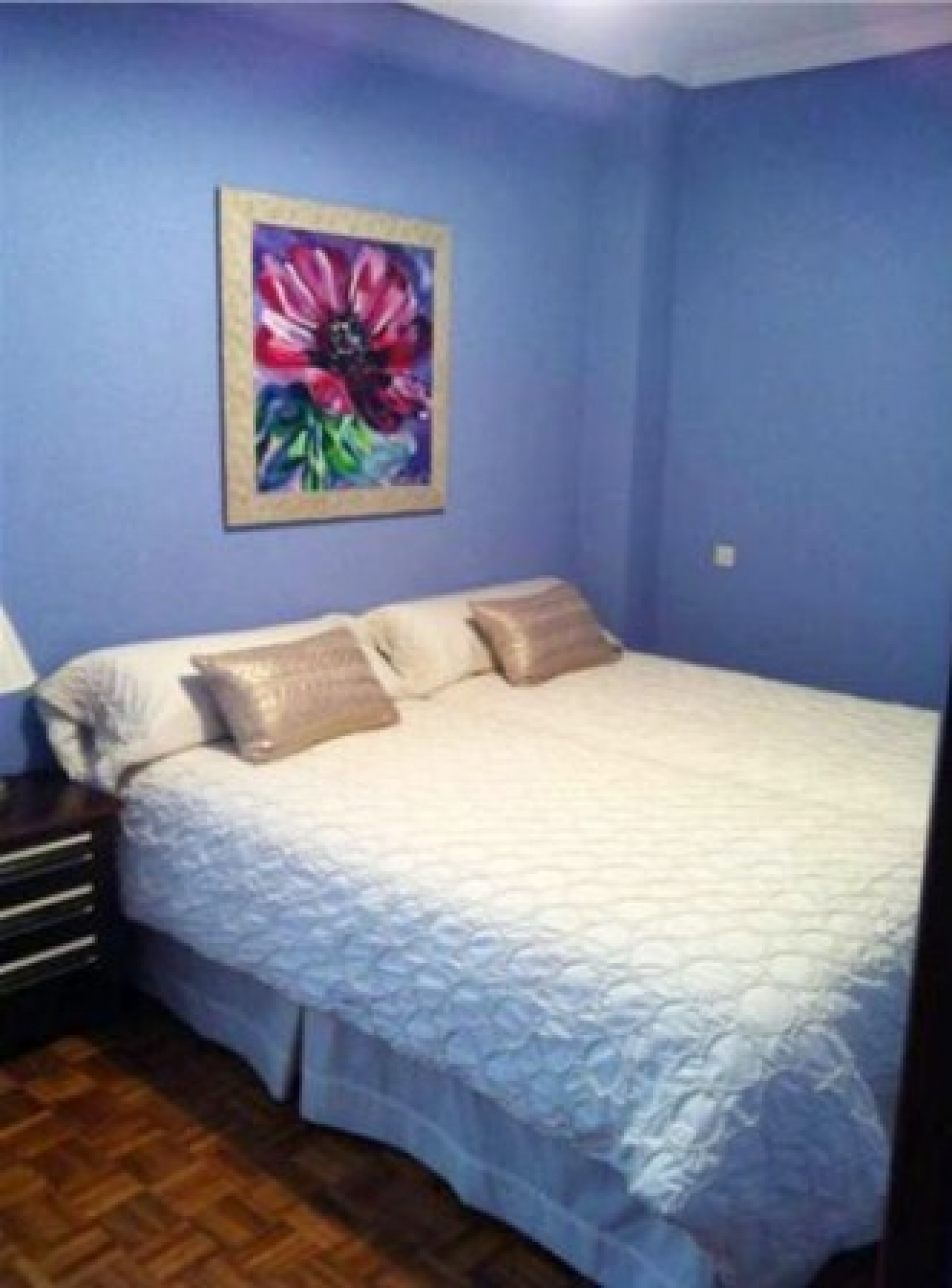 Pisos-Venta-AvilÃ©s-586318-Foto-3