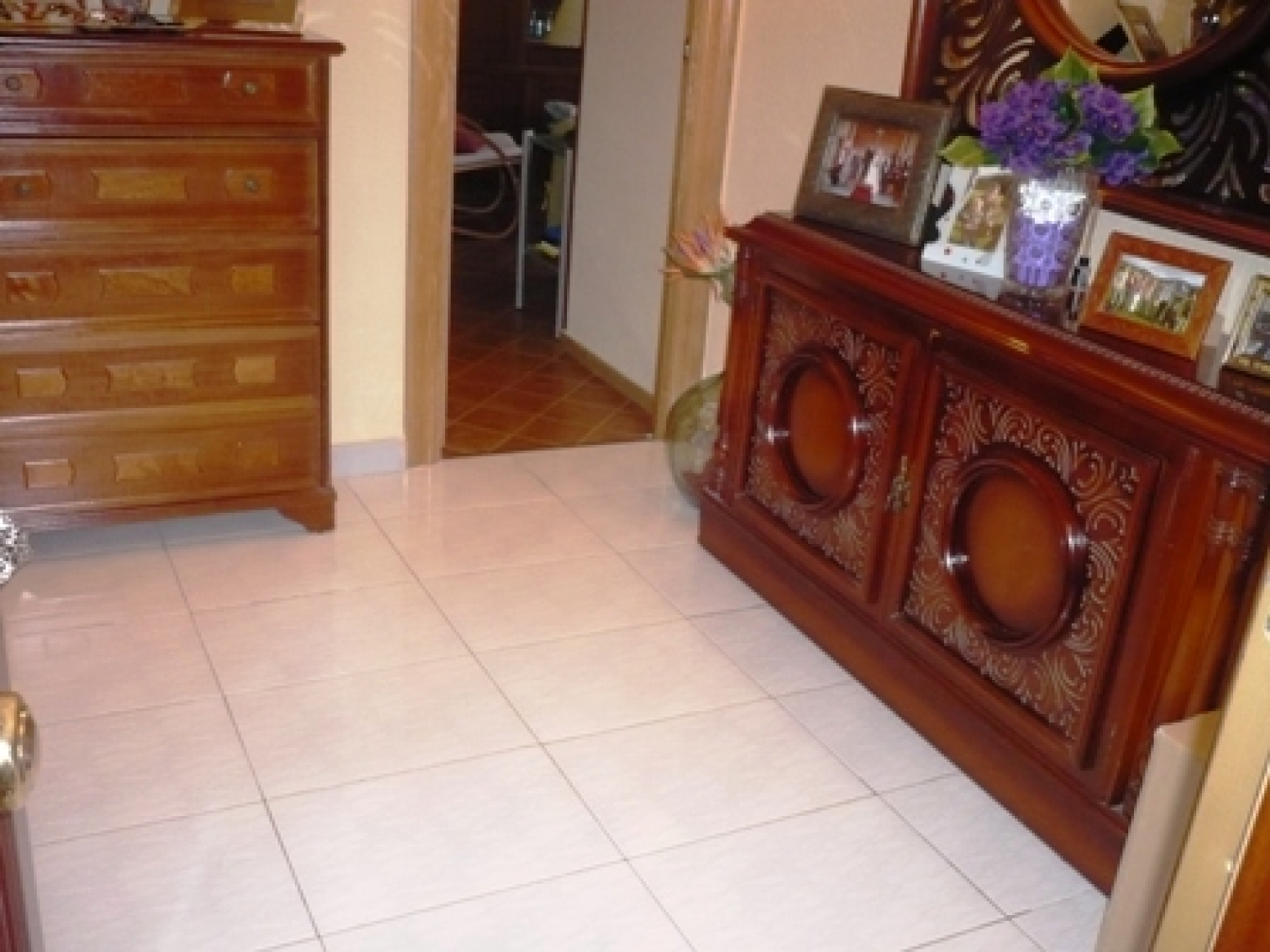 Pisos-Venta-AvilÃ©s-586355-Foto-1