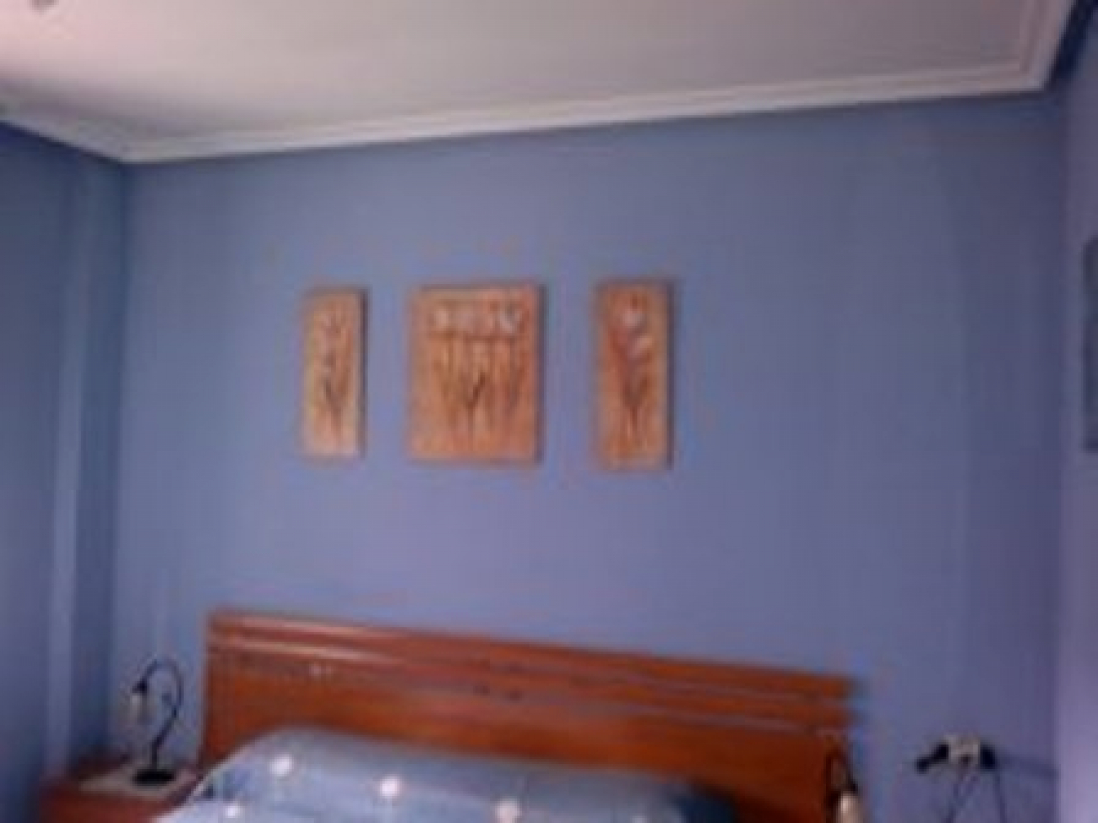 Pisos-Venta-AvilÃ©s-586387-Foto-4