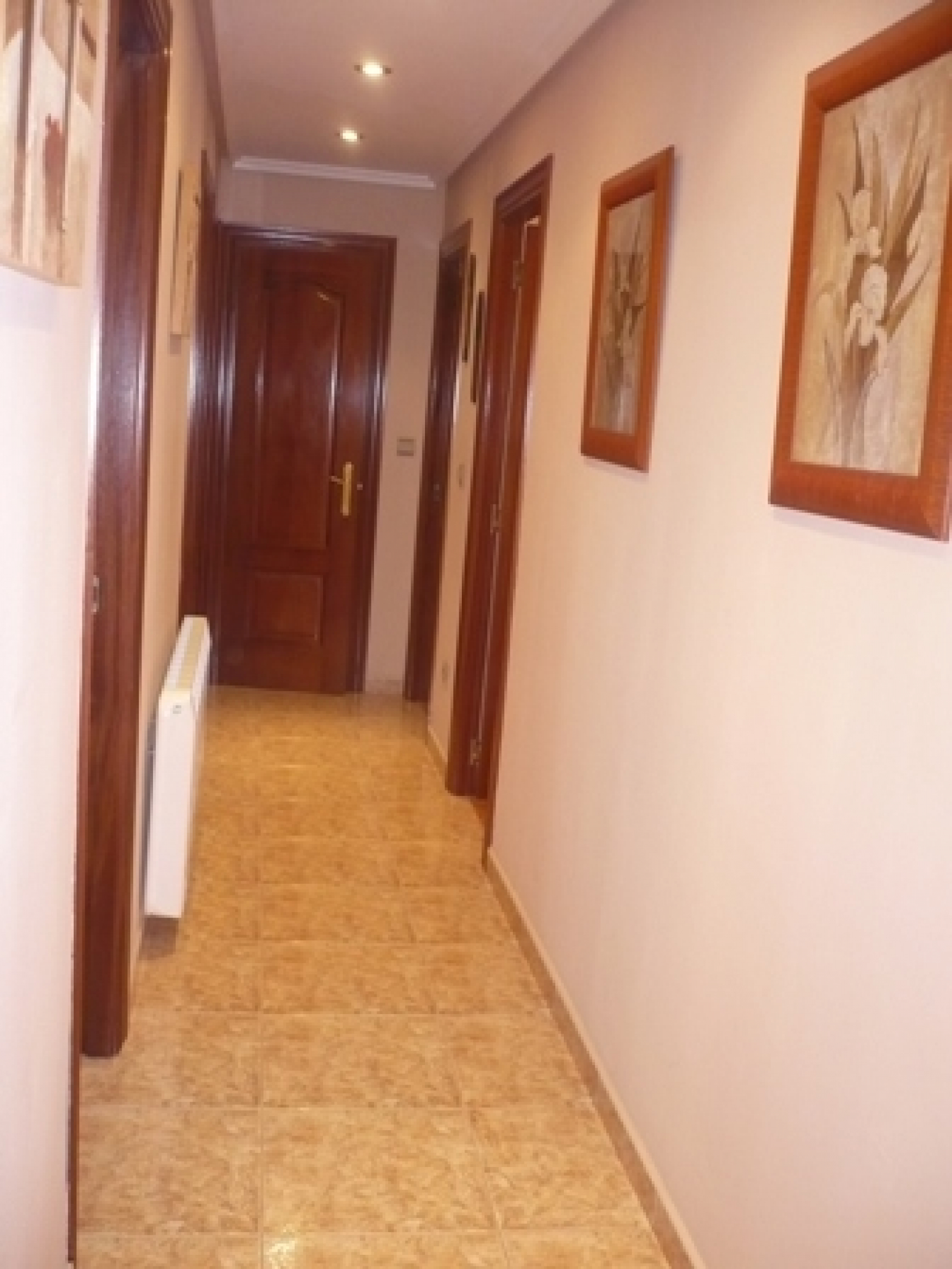 Pisos-Venta-AvilÃ©s-586525-Foto-2