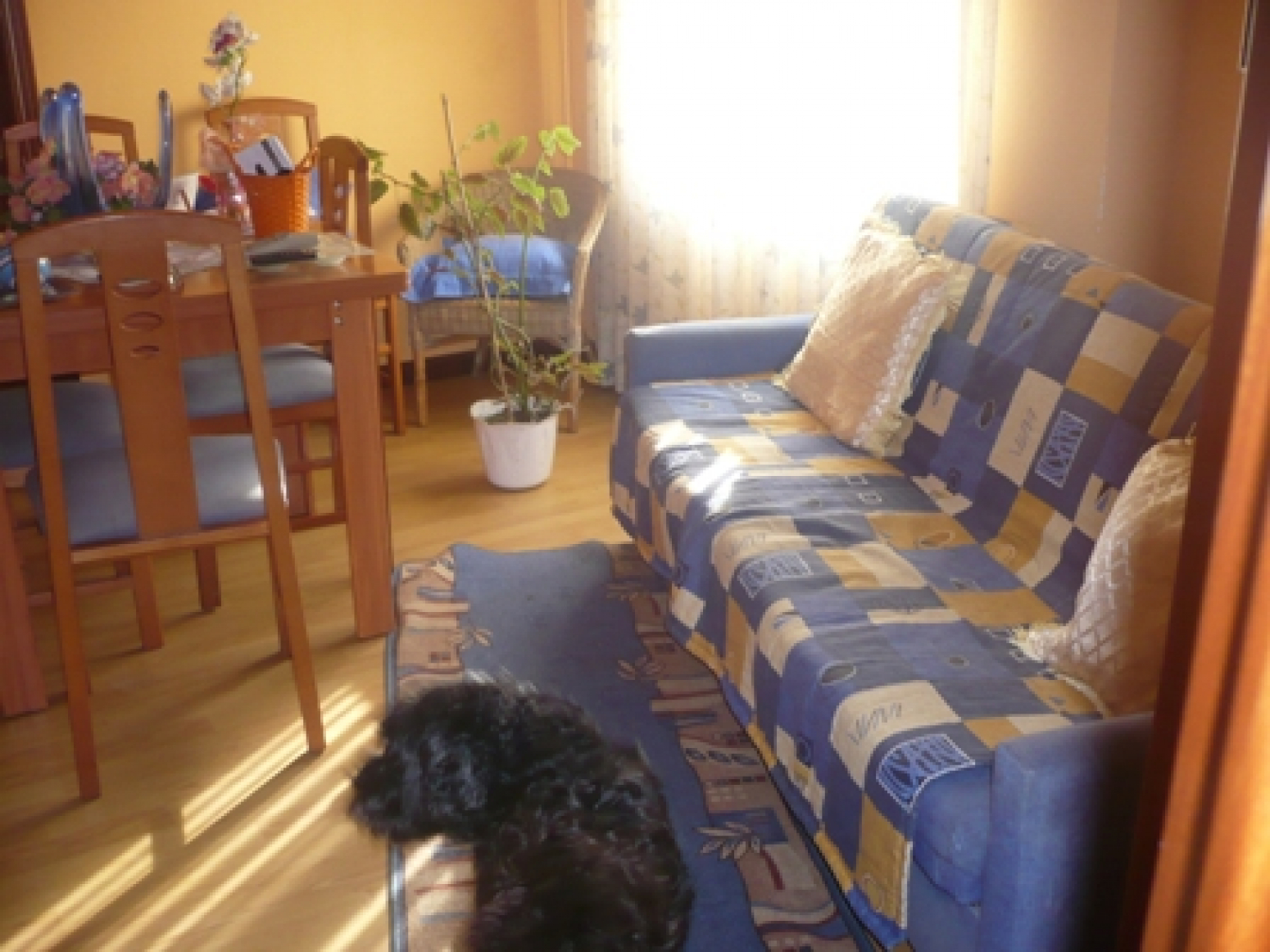 Pisos-Venta-AvilÃ©s-586561-Foto-3