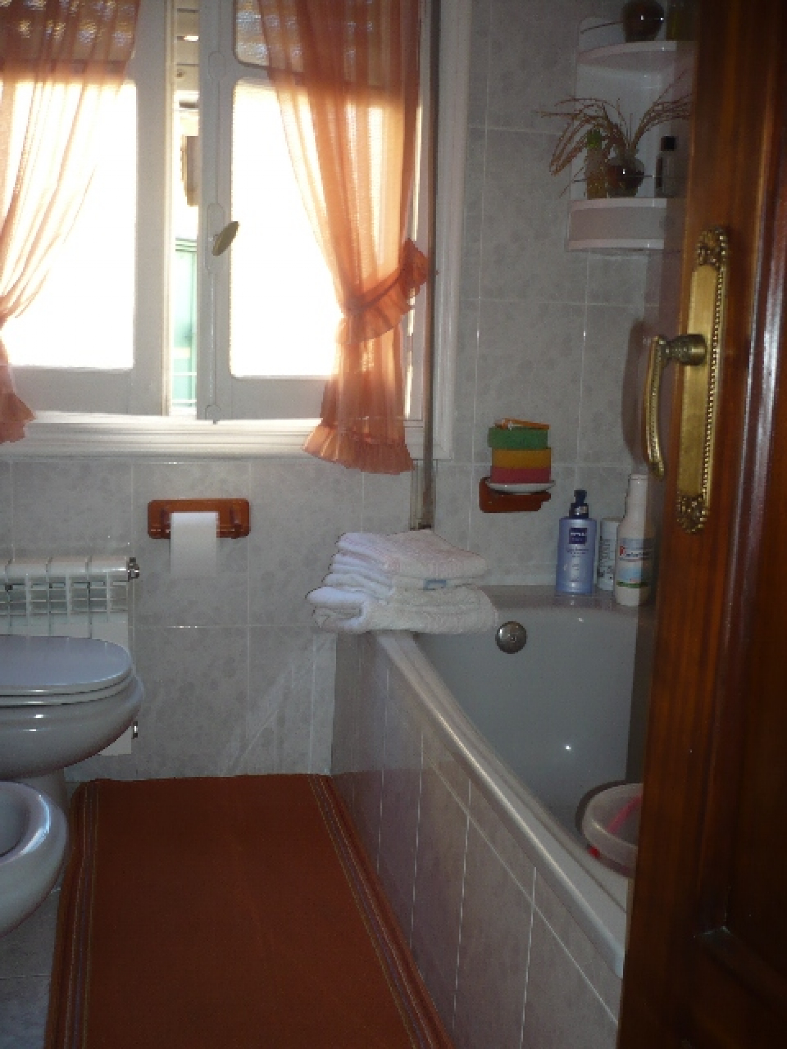 Pisos-Venta-AvilÃ©s-586731-Foto-1