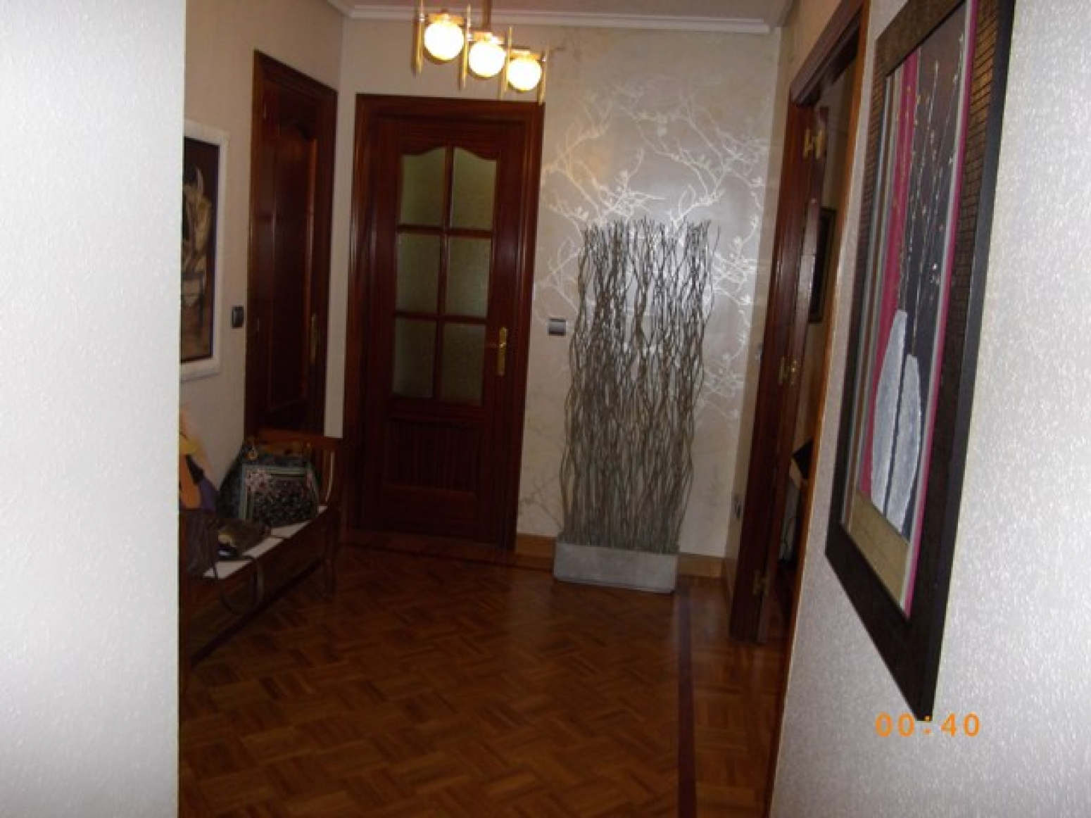 Pisos-Venta-AvilÃ©s-586780-Foto-2