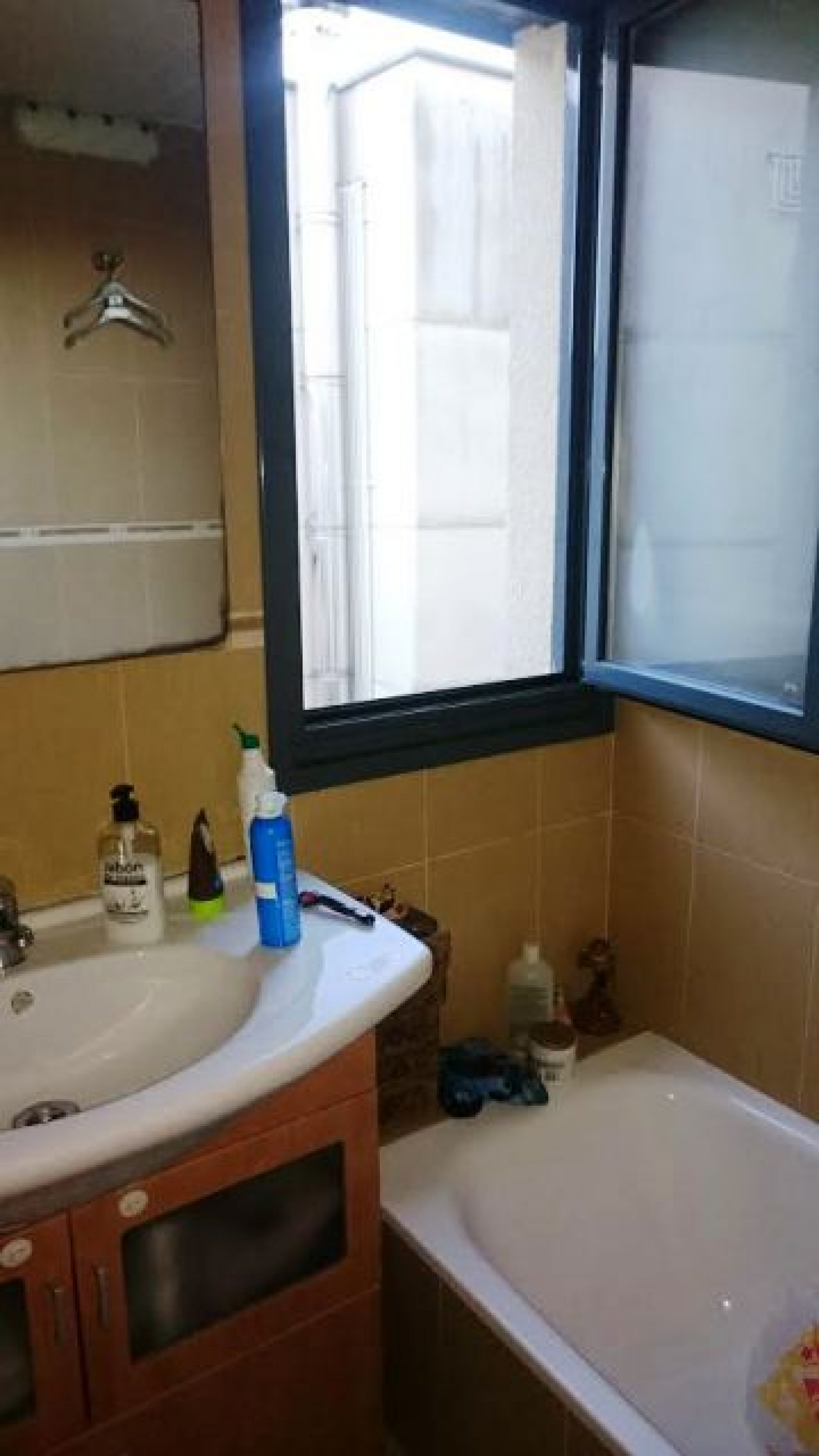 Pisos-Venta-AvilÃ©s-586846-Foto-4