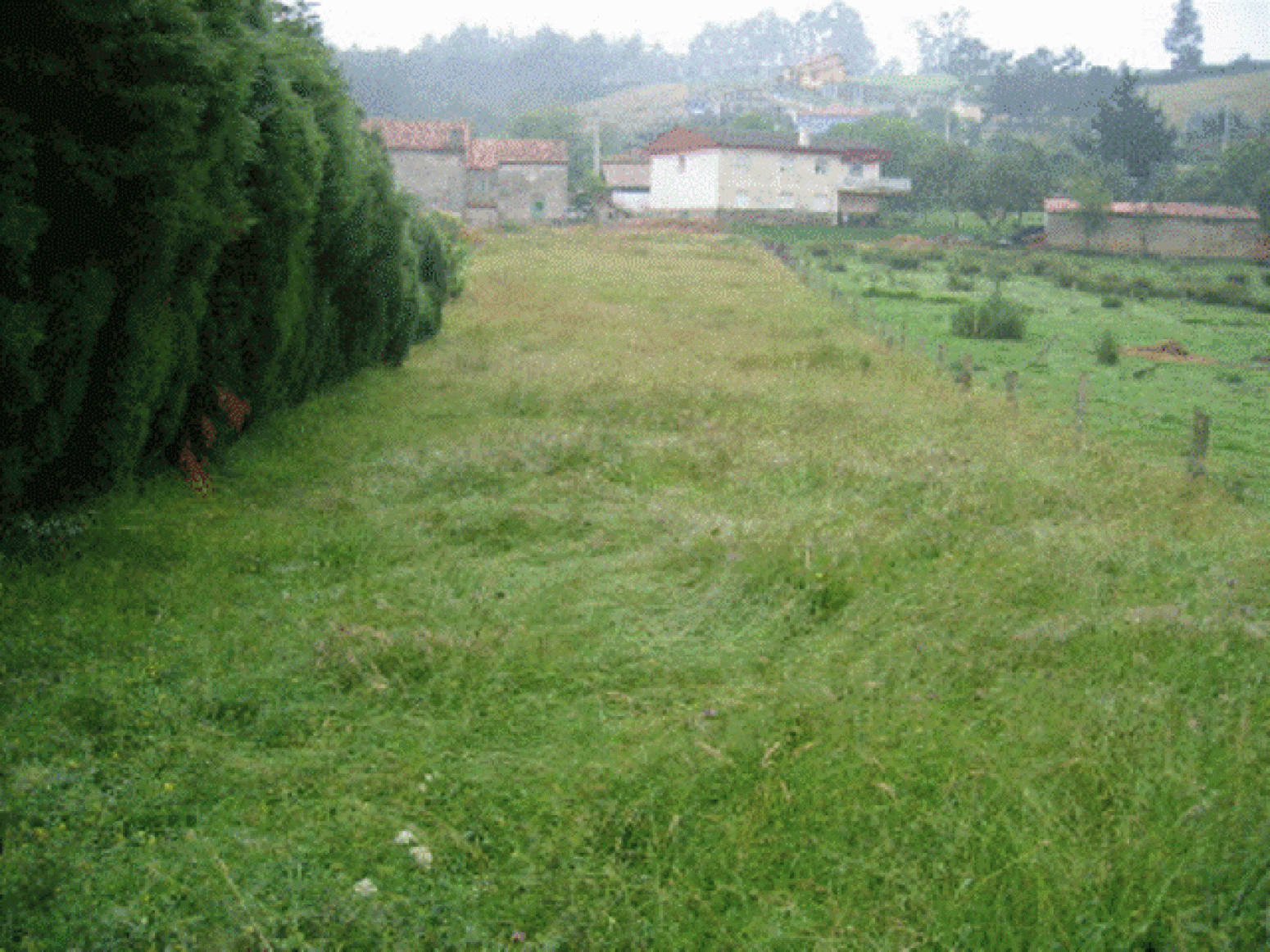 Fincas y solares-Venta-Corvera de Asturias-586907-Foto-1