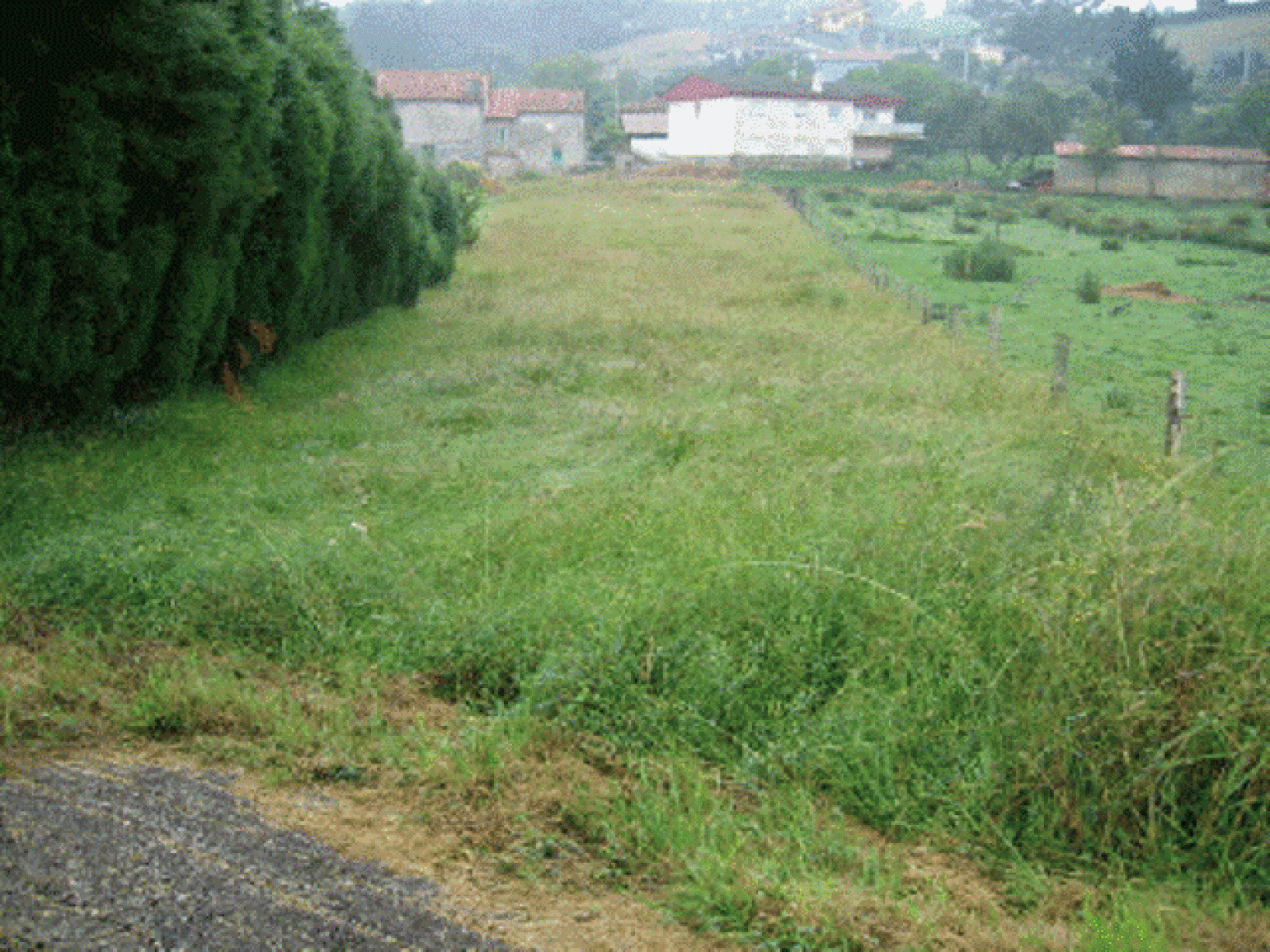 Fincas y solares-Venta-Corvera de Asturias-586907-Foto-3