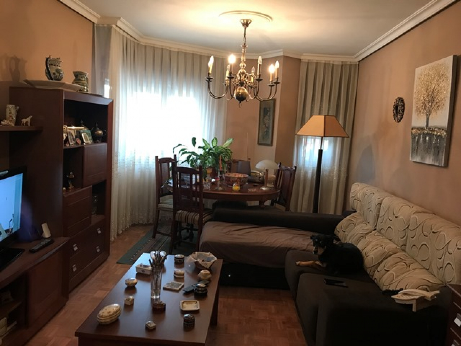 Pisos-Venta-AvilÃ©s-703324-Foto-1