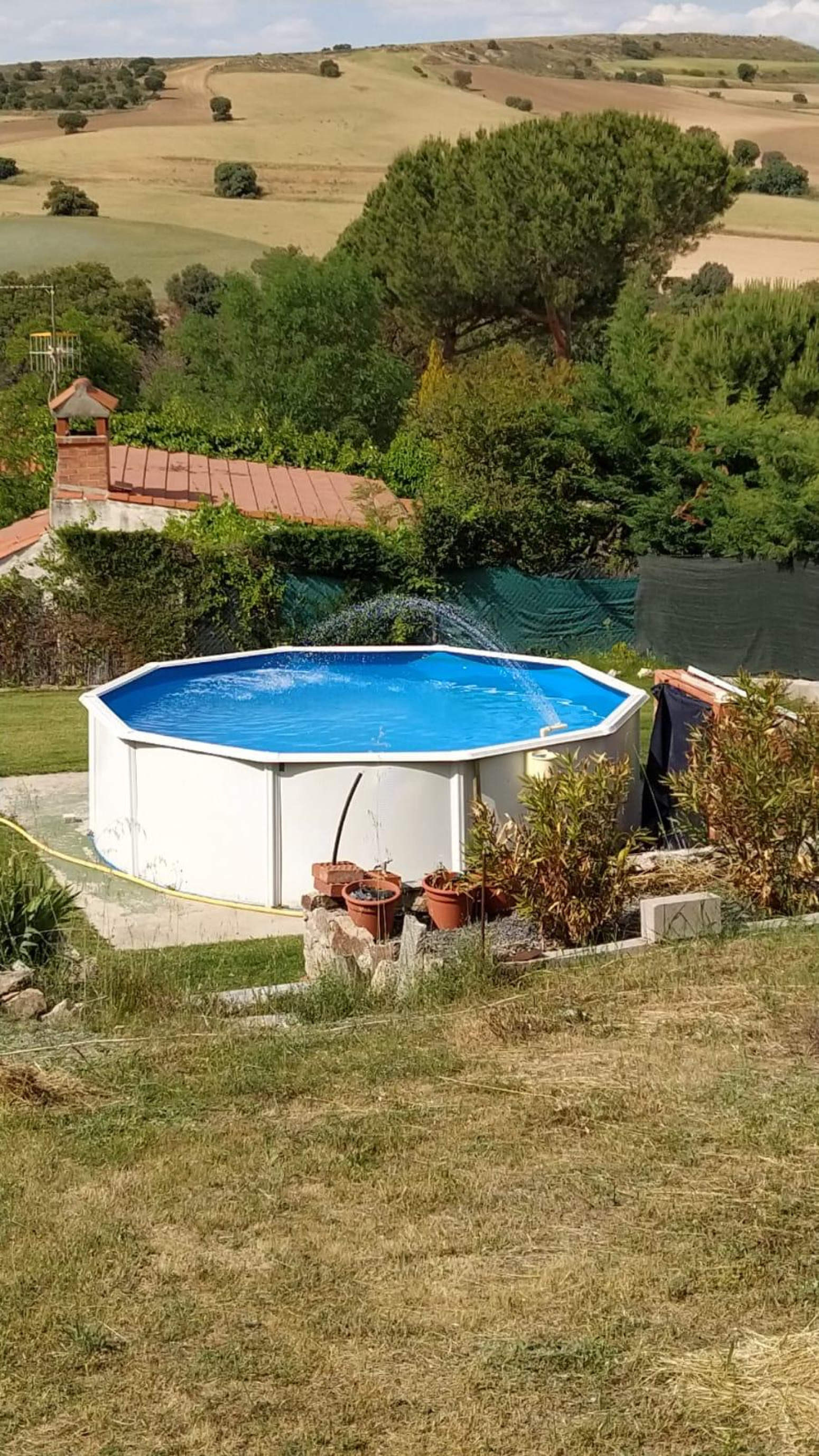Fincas y solares-Venta-PeÃ±alba de Ãvila-2362937-Foto-11