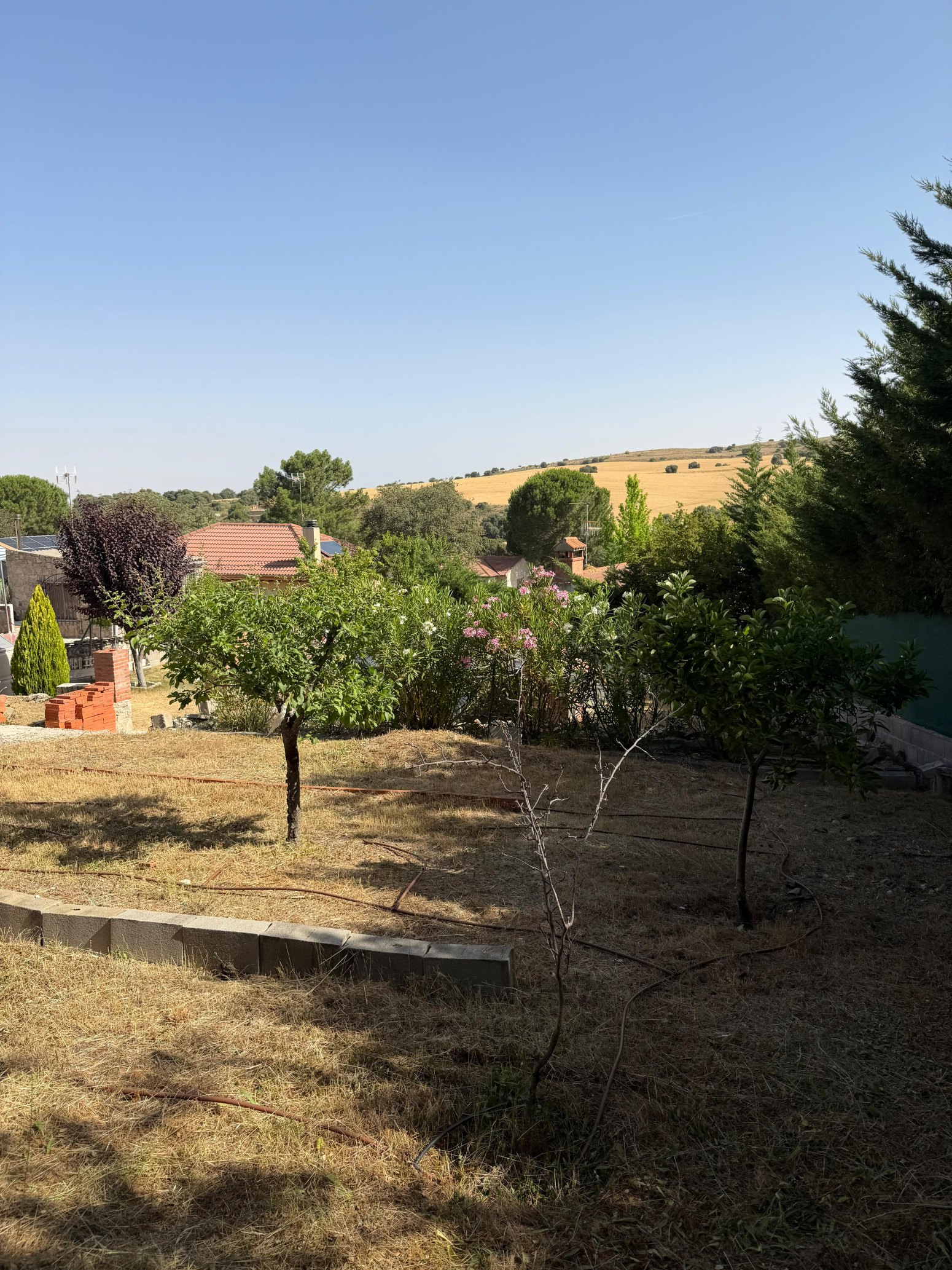 Fincas y solares-Venta-PeÃ±alba de Ãvila-2362937-Foto-16