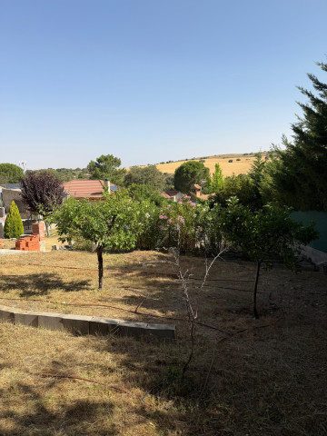 Foto 16