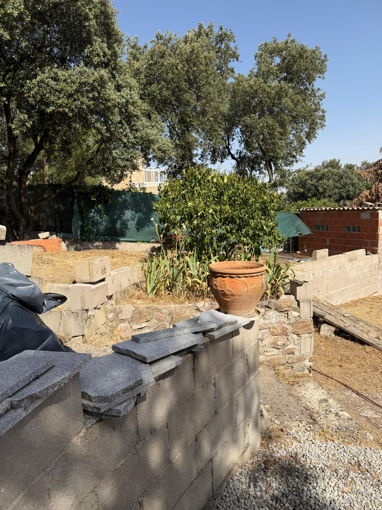 Fincas y solares-Venta-PeÃ±alba de Ãvila-2362937-Foto-18