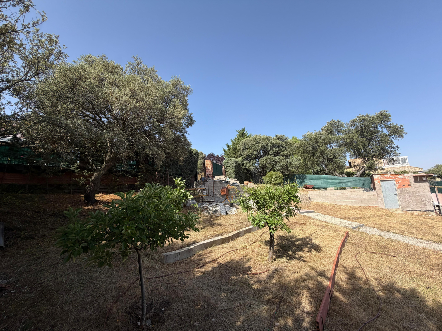 Fincas y solares-Venta-PeÃ±alba de Ãvila-2362937-Foto-19