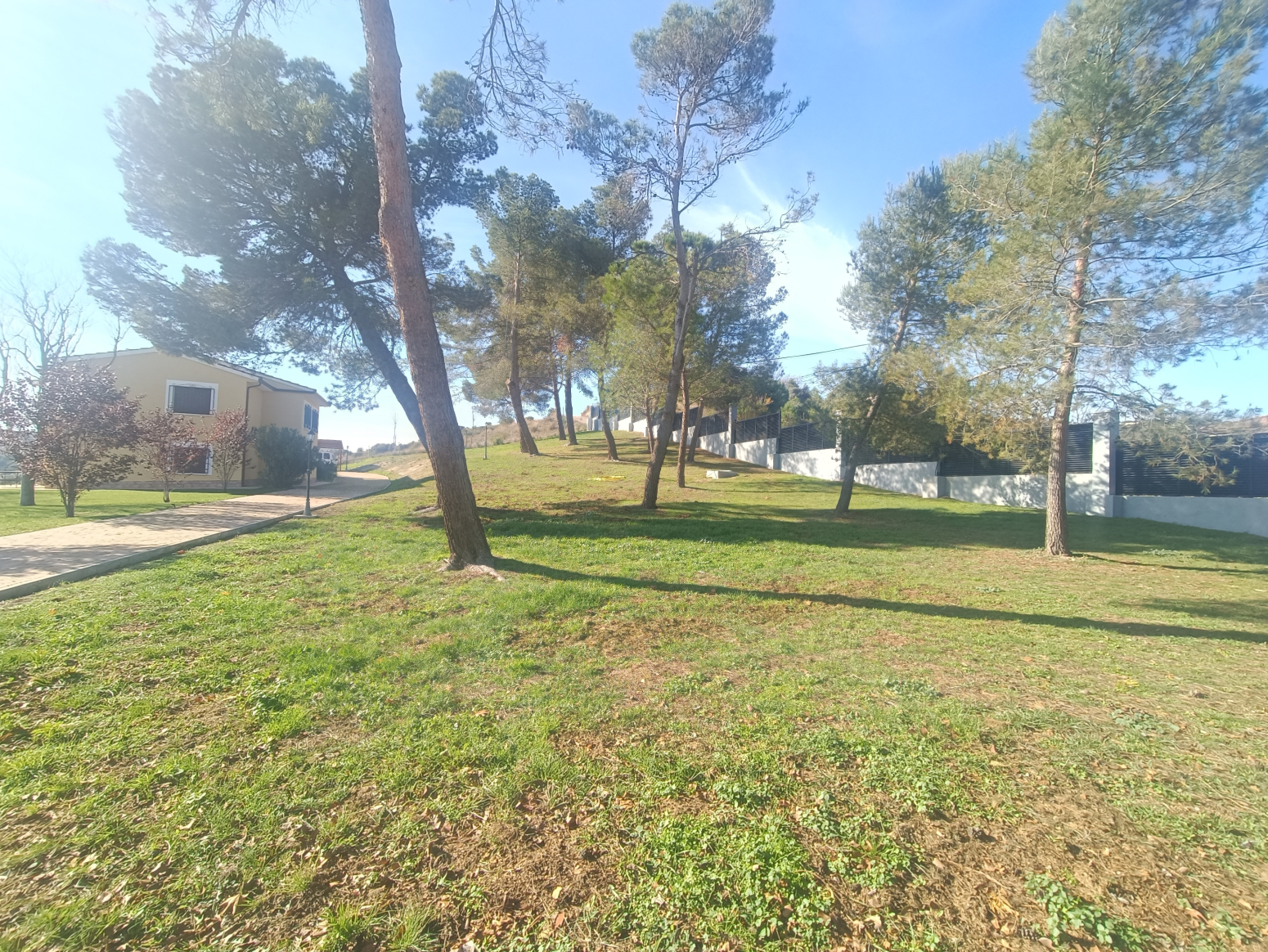 Casas o chalets-Venta-Perales de TajuÃ±a-1481321-Foto-38