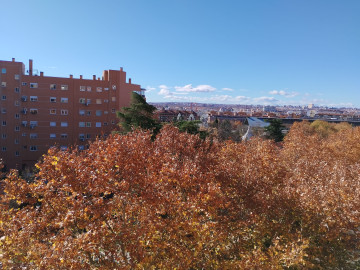 vistas a la ciudad