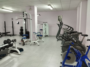 gimnasio