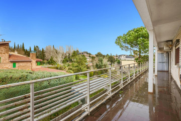 Terraza