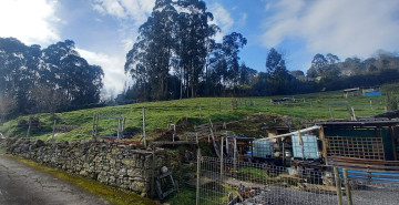 Casas o chalets-Venta-GijÃ³n-1583890-Foto-9-Carrousel