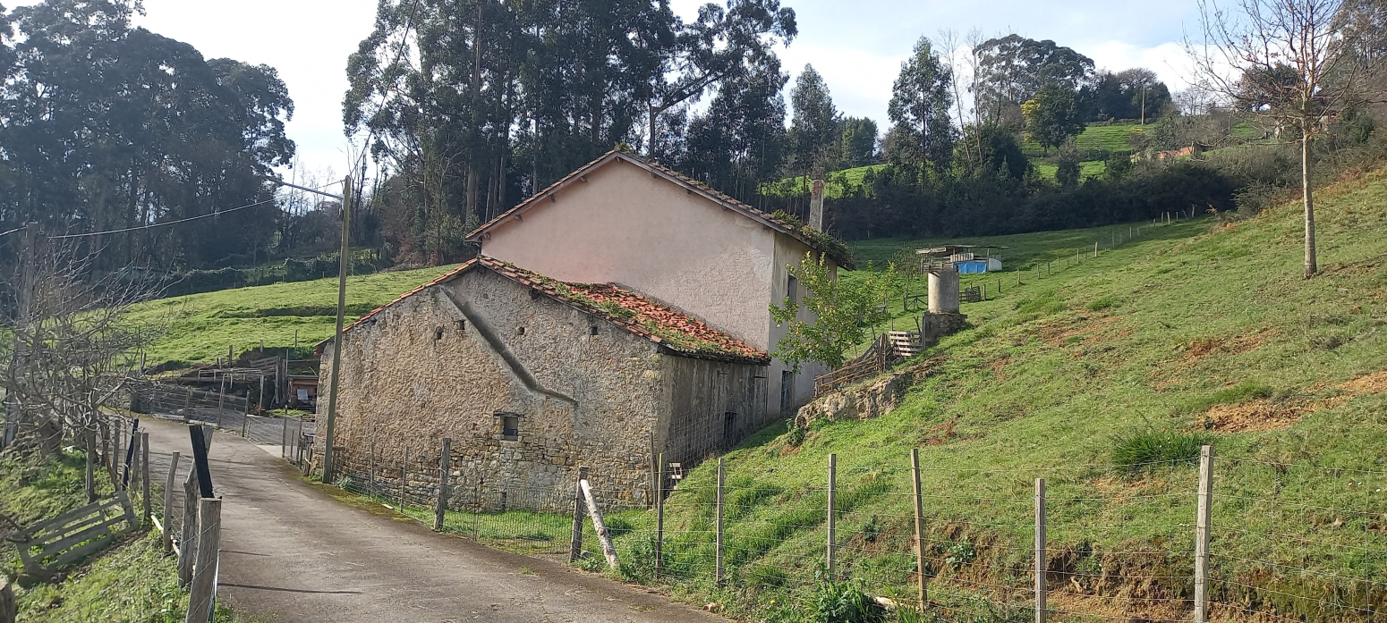 Casas o chalets-Venta-GijÃ³n-1583890-Foto-6